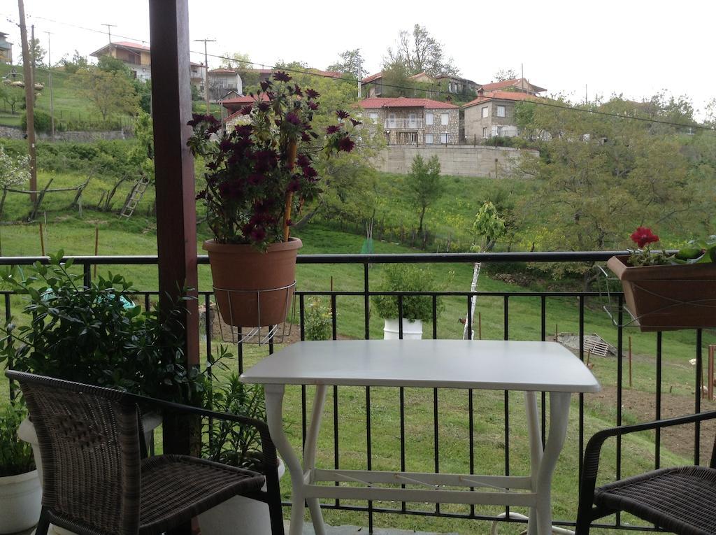 Guesthouse Lamprini Neochori (Karditsa) Exterior foto